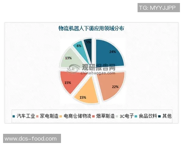深入分析成都足球队运营策略与市场推广模式的成功之道