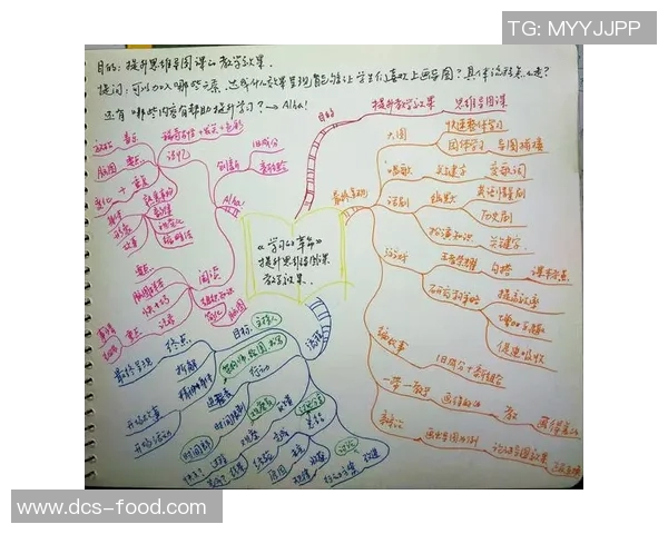 张秀英的羽毛球人生：从热爱到巅峰的深度对话与启示
