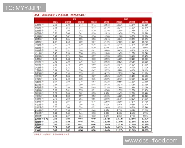 南京网球队的控制策略与发展动态深度解析