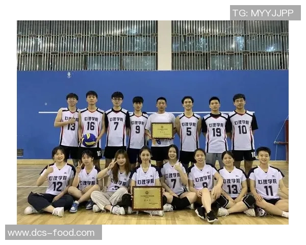 南京排球队团队协作深度分析与其他球队的对比研究