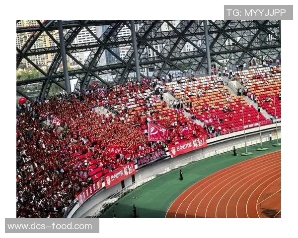 成都网球队实力引发热议球迷对其表现与未来发展展开激烈讨论