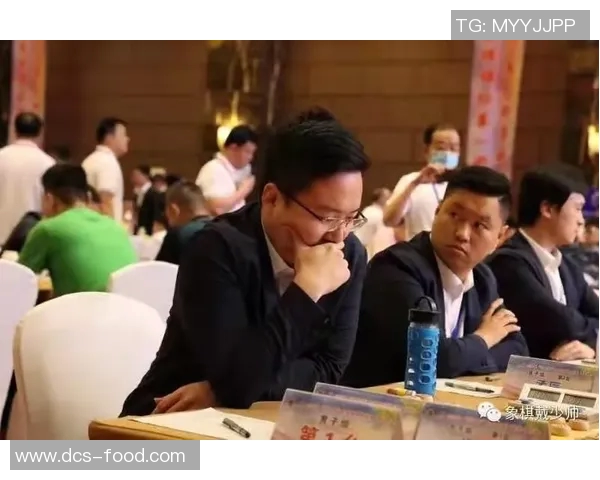 成都排球队逆袭之路揭秘钻石联赛特别报道展现奋斗精神与团队力量