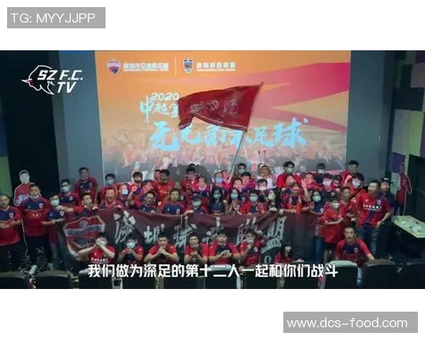 南京足球队在冠军赛中的团队协作表现分析与总结