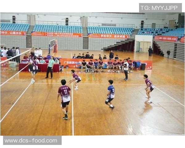 广州排球队加速转型探索新战术提升竞技水平引发热议