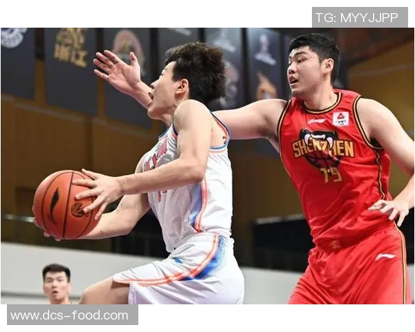 深圳篮球队实力分析:数据透视球队表现与未来发展潜力 深圳篮球队实力分析:数据透视球队表现与未来发展潜力