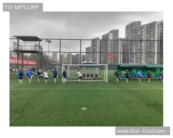 武汉足球队运营新模式探讨与发展前景分析