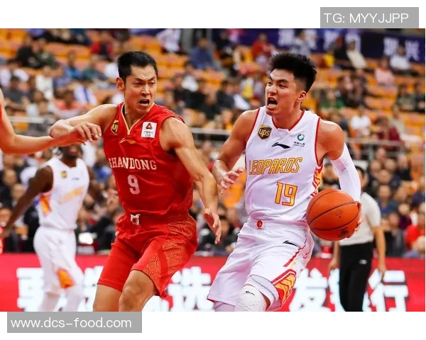 深圳篮球队挑战赛战术分析与表现评估全景解读