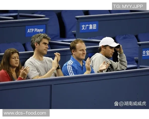 网球盛宴：深入了解上海网球队背后的实力与荣耀