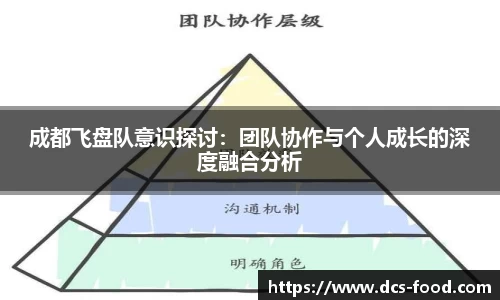 成都飞盘队意识探讨：团队协作与个人成长的深度融合分析