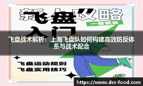 飞盘战术解析：上海飞盘队如何构建高效防反体系与战术配合