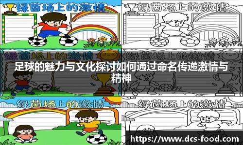 足球的魅力与文化探讨如何通过命名传递激情与精神